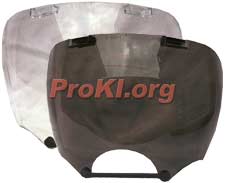The MSA polycarbonate outsert lens protects from flying debris