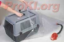Pet Safe works with any standard animal kennel